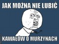 O murzynach