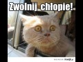 Zwolnij