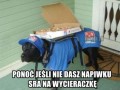 Lepiej dawać napiwki