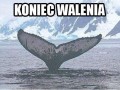 Koniec walenia