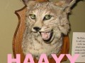 Heej