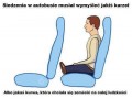 Siedzenia w autobusie