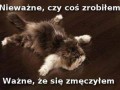 Nieważne czy coś zrobiłem