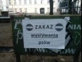 Zakazy w polsce