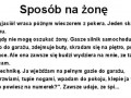 Sposób na żonę