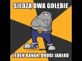 Człowiek beton znowu nadaje