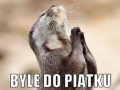 To czekanie