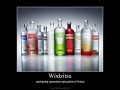 Wódzitsu