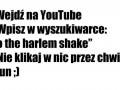 Harlem shake na yt