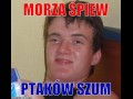 Morza spiew