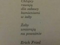 Bez humoru