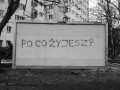 Po co żyjesz