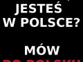 Mów po polsku