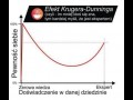 Efekt krugeradunninga