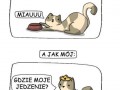 Jak koty proszą o jedzenie