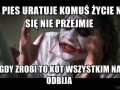 Gdy pies uratuje komuś życie nikt się nie przejmie