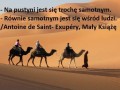 Pustynia