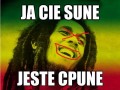 Jestę ć2000punę