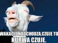 Wakacje nadchodzą