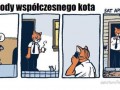 Współczesny kot
