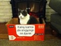 Karny karton