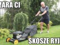 Smudeczek