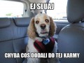 Podejrzana ta karma