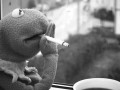 Kermit zła żaba