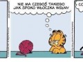 Spoko włóczka