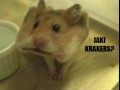 Krakers
