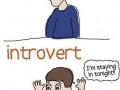 Introvert
