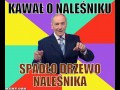 Naleśnik