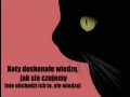 Prawda o kotach