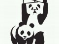 Wwf
