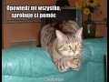 Spróbuję ci pomóc