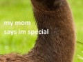 Specjalna lama