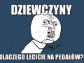Dziewczyny 1