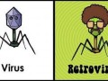 Retrovirus