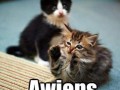Awiens