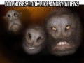 Psie nosy wyglądają jak obcy