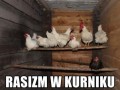 Kurnik