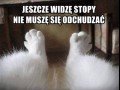 Jeszcze widzę