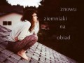 Znowu ziemniaki
