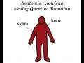 Anatomia człowieka