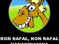 Koń rafał