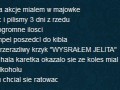 Tasiemiec z basha