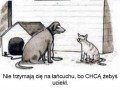 Chca zebys uciekl