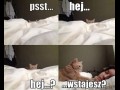 Wstawaj
