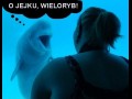 Wieloryb