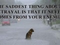 The saddest thing